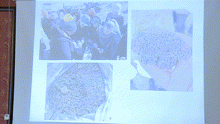 Dr Lech Poprawski - Nowe zasoby szczaw ziemi kłodzkiej